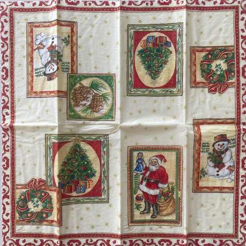 Paper napkins 21x21cm - napkins,