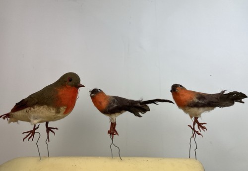 Vintage robin bird - vintage,